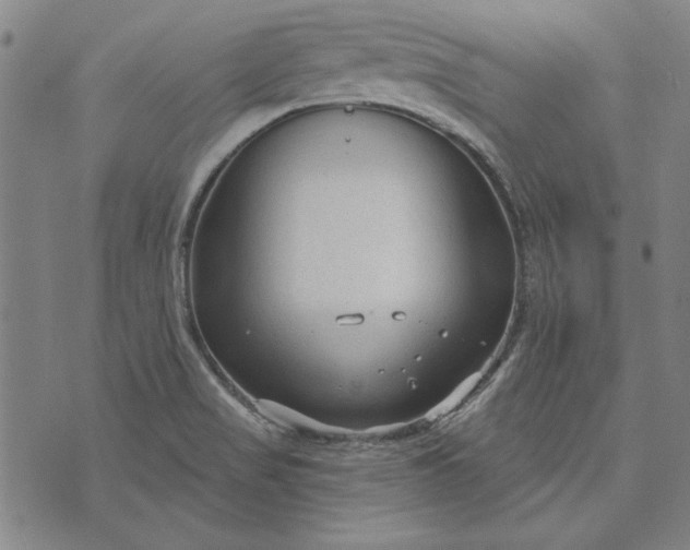 X0000073761517200608171343