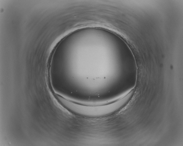 X0000073761518200608171343