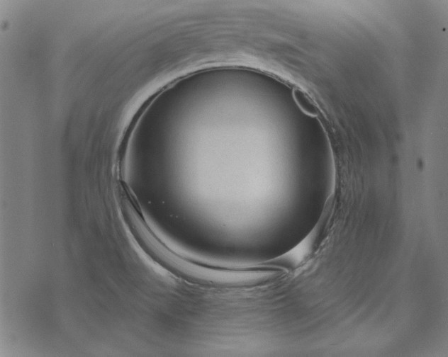 X0000073761519200608171343