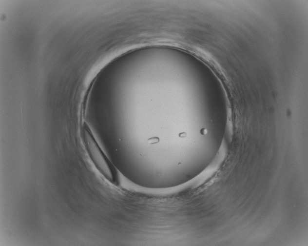 X0000073761520200608171343