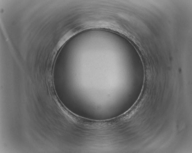 X0000073761521200608171343