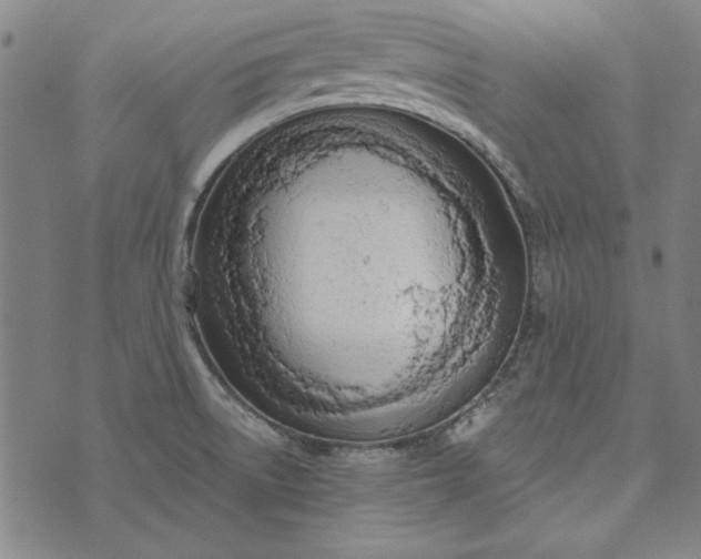 X0000073761522200608171343