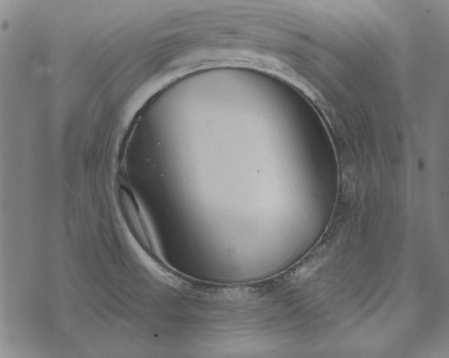 X0000073761523200608171343