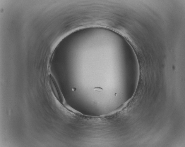 X0000073761524200608171343