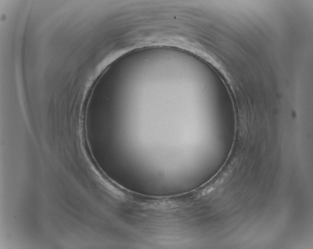 X0000073761525200608171343