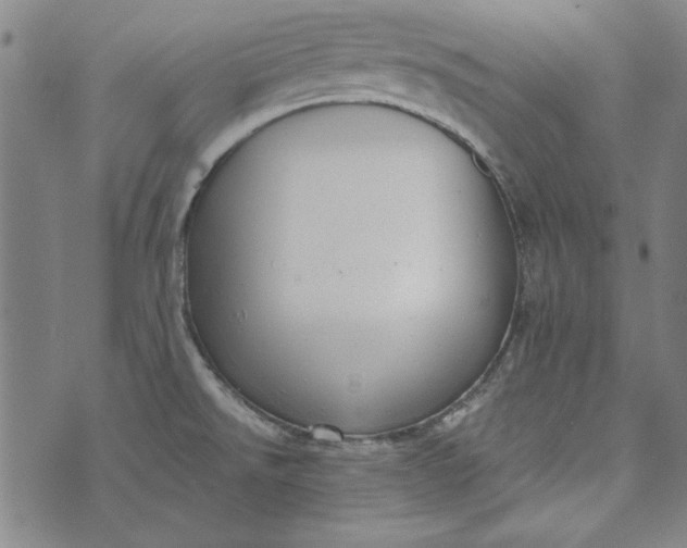 X0000073761526200608171344