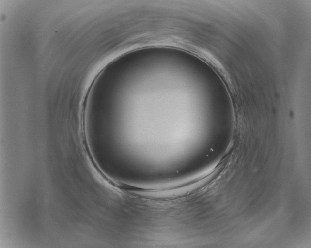 X0000073761528200608171344