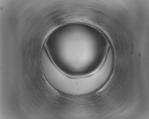 X0000073761529200608171344