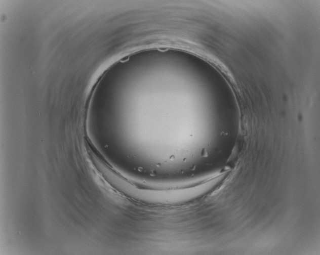 X0000073761530200608171344