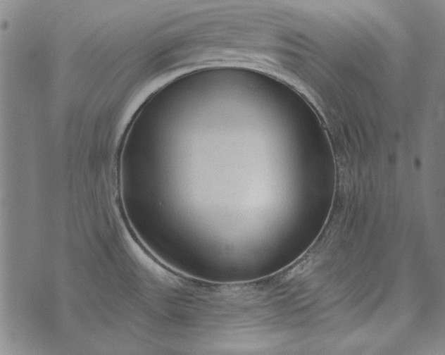 X0000073761531200608171344