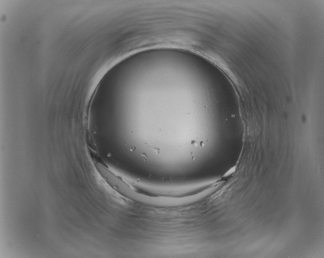 X0000073761532200608171344