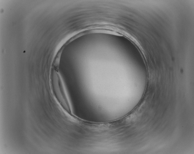 X0000073761533200608171344