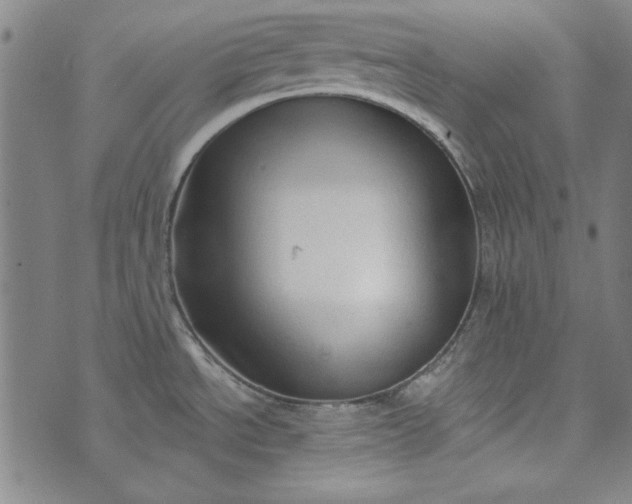 X0000073761534200608171344