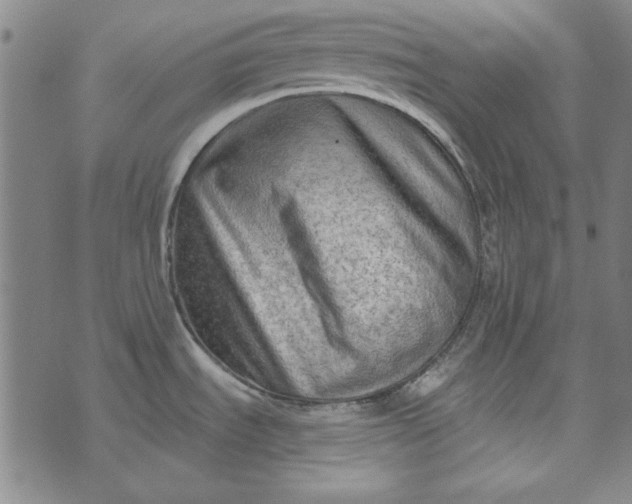 X0000073761535200608171344