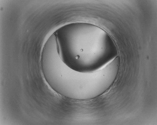 X0000073761536200608171344