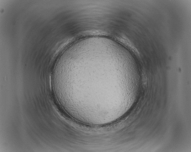 X0000073760014200608241423