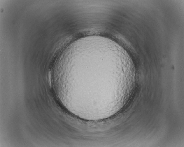 X0000073760022200608241423