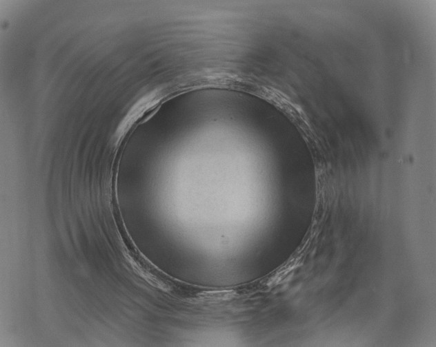 X0000073760051200608241422