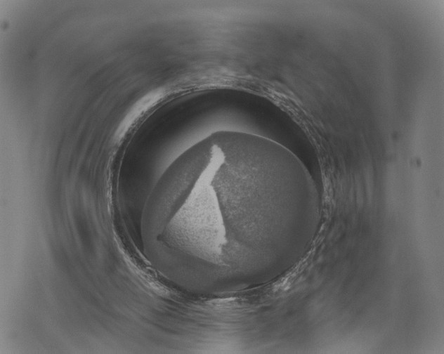 X0000073760054200608241422