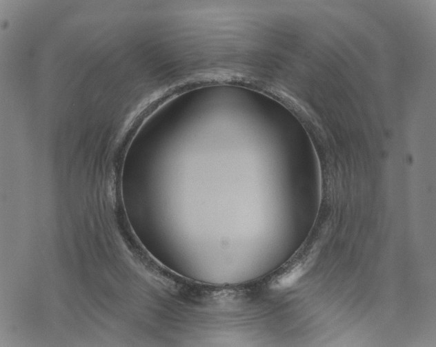 X0000073760064200608241422