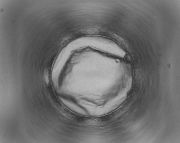 X0000073760069200608241422