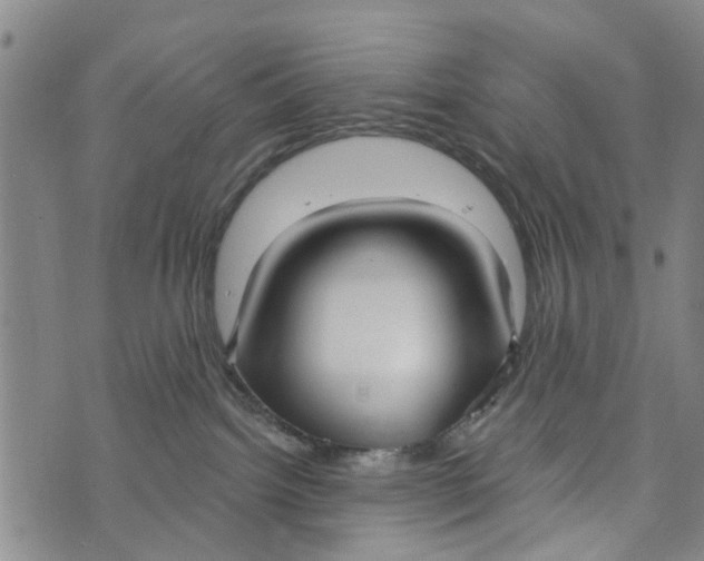 X0000073760092200608241423
