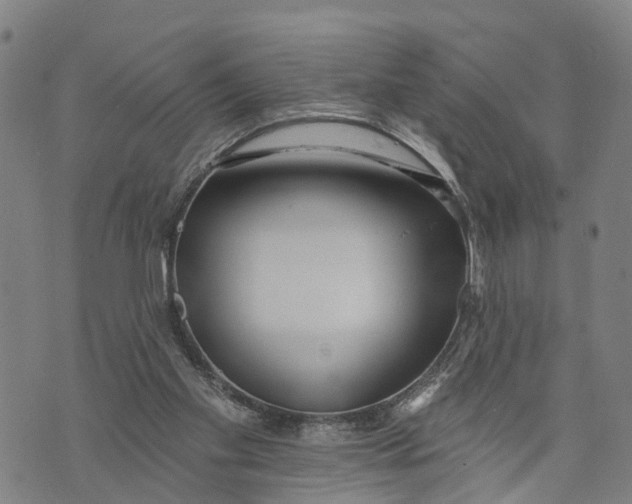 X0000073760109200608241422