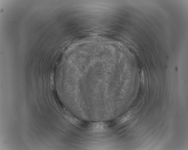 X0000073760127200608241421