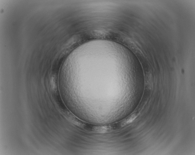 X0000073760131200608241421
