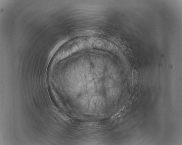 X0000073760147200608241420