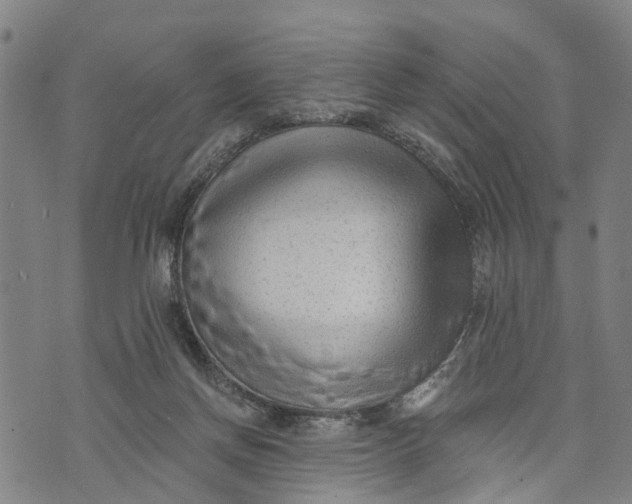 X0000073760166200608241421