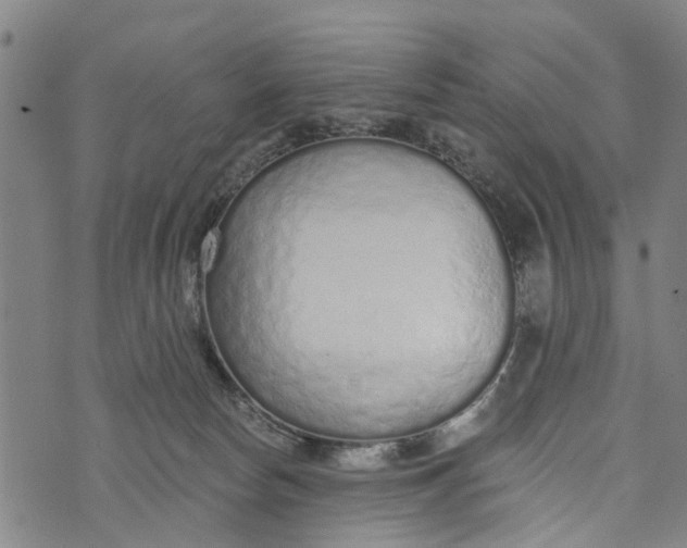 X0000073760178200608241421
