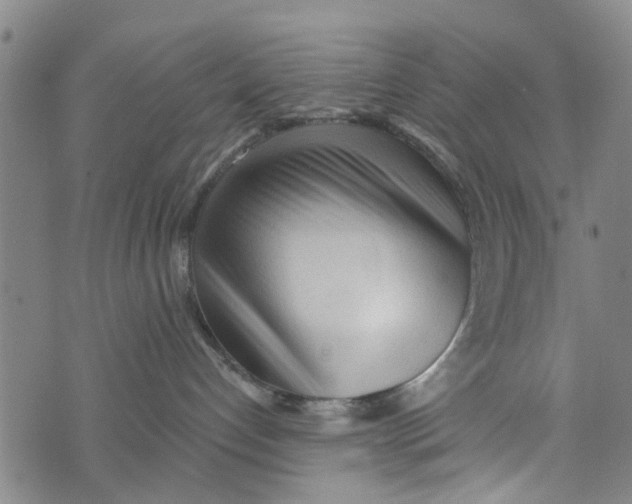 X0000073760192200608241421