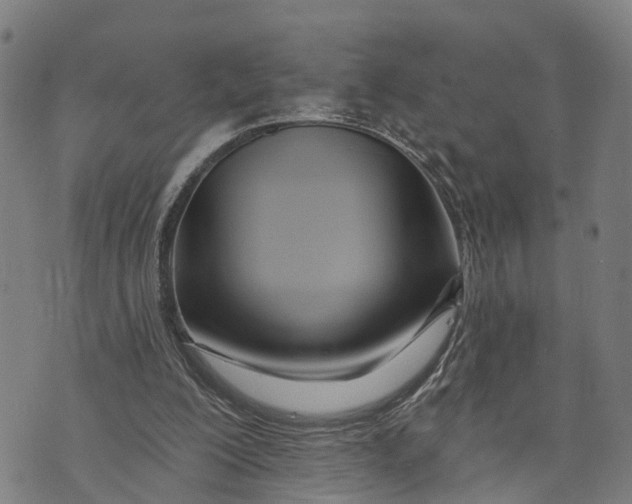 X0000073760200200608241420