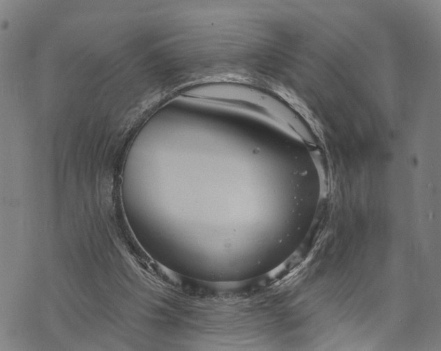 X0000073760201200608241420