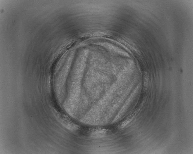 X0000073760206200608241420