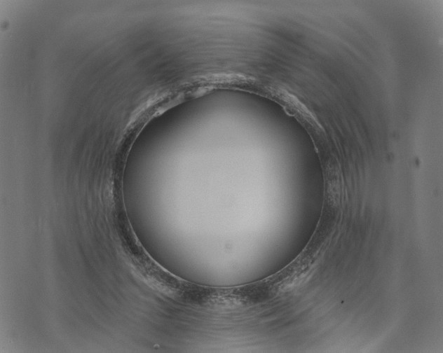 X0000073760207200608241420