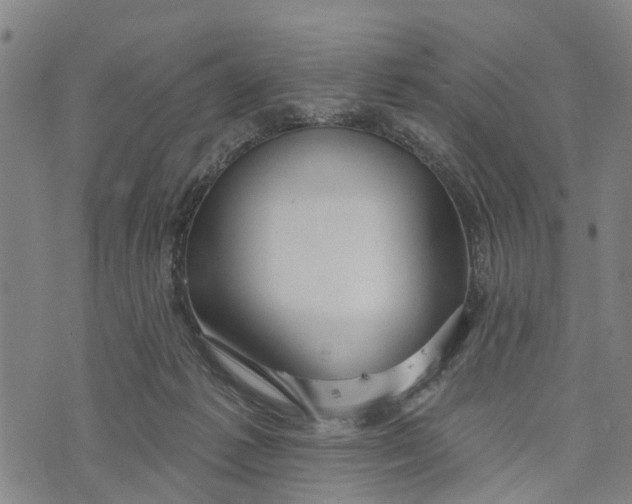 X0000073760221200608241420