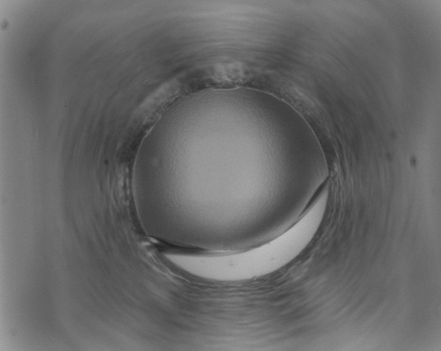 X0000073760233200608241420
