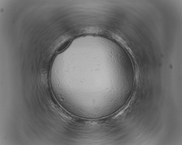 X0000073760249200608241419