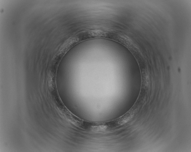 X0000073760266200608241419