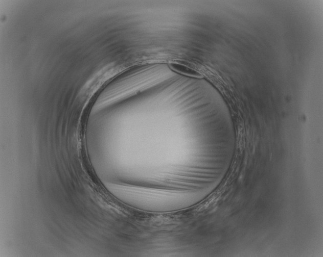 X0000073760290200608241419