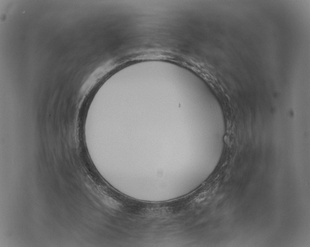 X0000073760296200608241419