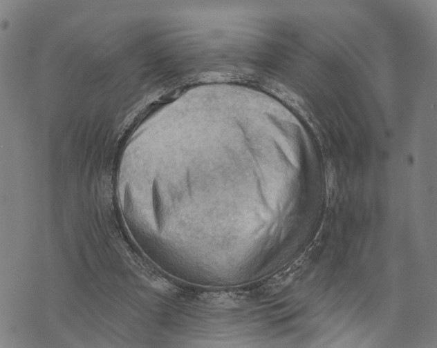 X0000073760297200608241419
