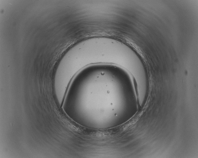 X0000073760305200608241418