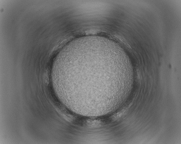 X0000073760311200608241418