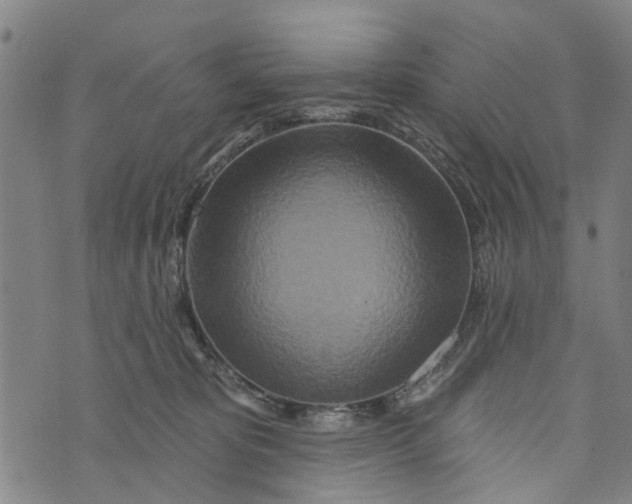 X0000073760325200608241418