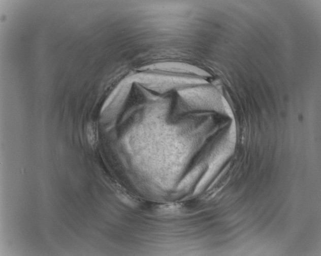 X0000073760335200608241418