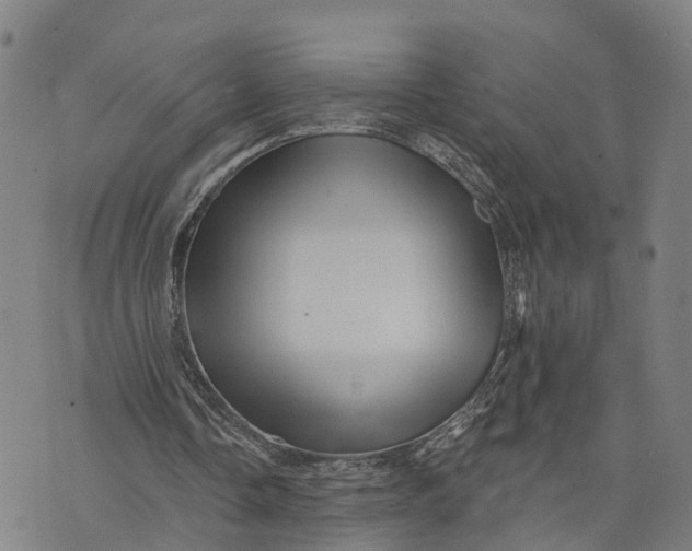 X0000073760338200608241417