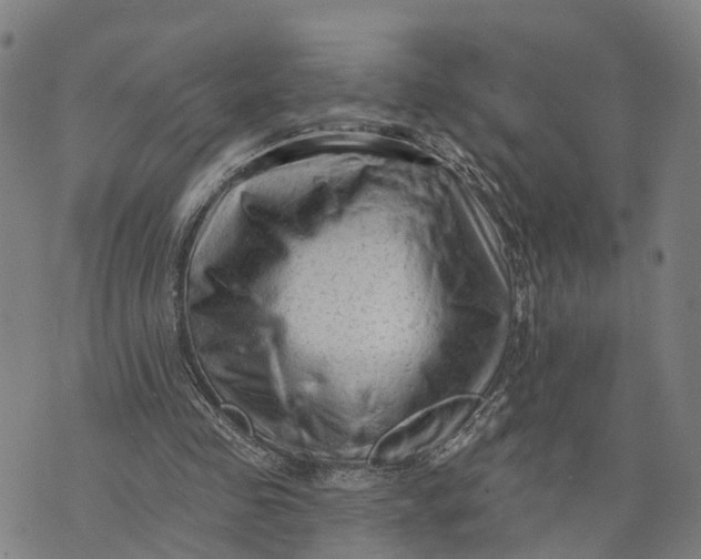 X0000073760341200608241417